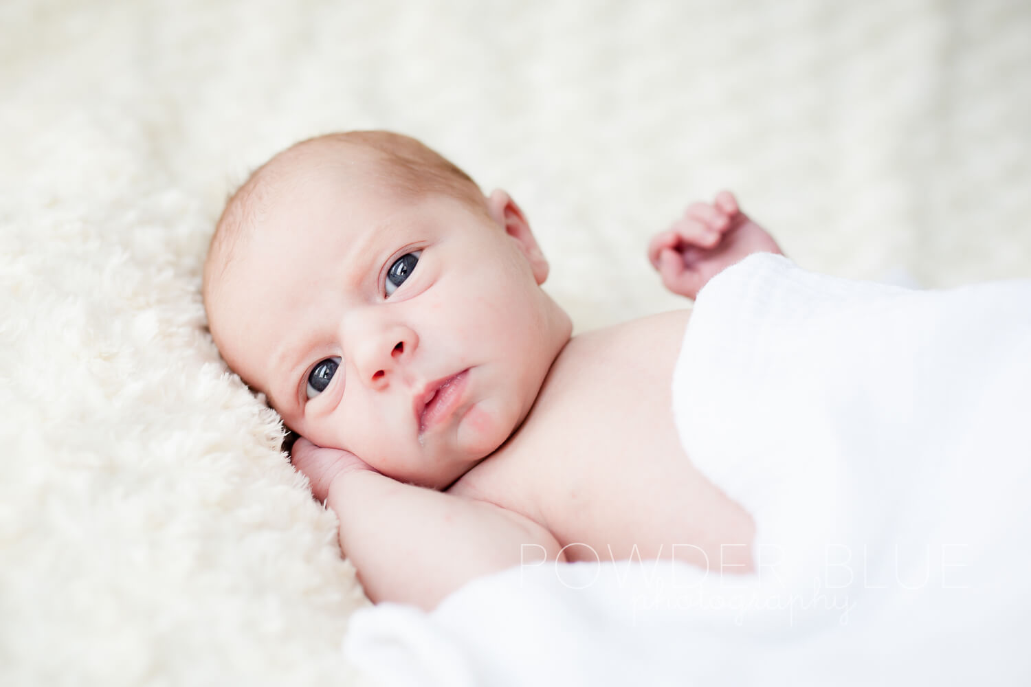You are currently viewing Newborn Baby Ava Grace | Peters Township McMurray Canonsburg Newborn Photographer