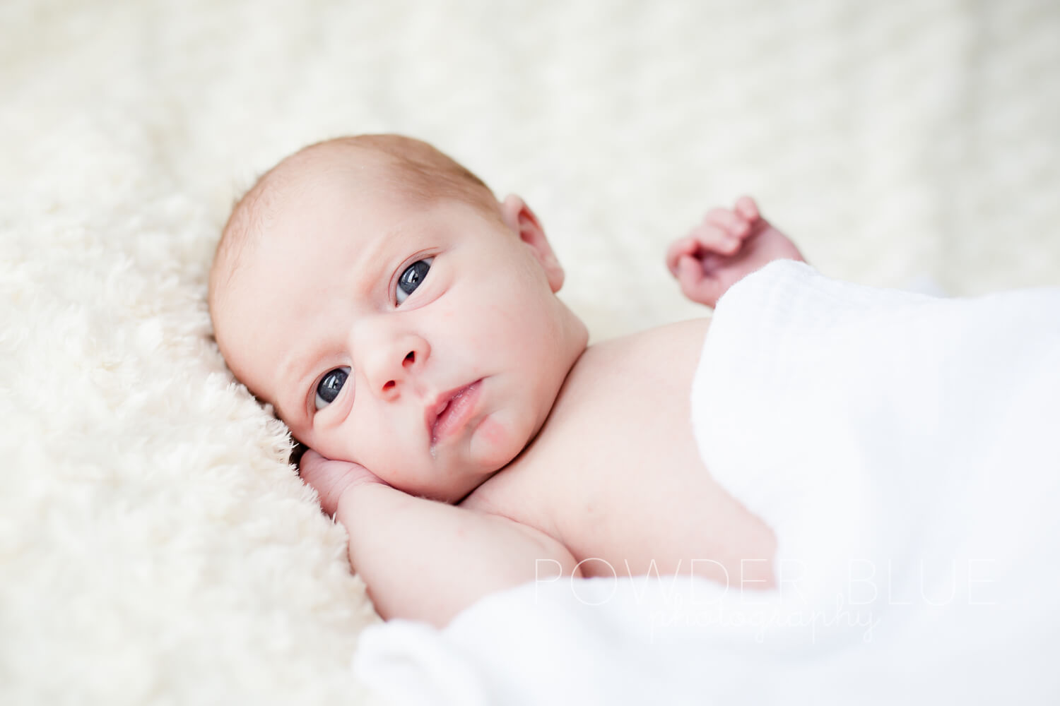 Read more about the article Newborn Baby Ava Grace | Peters Township McMurray Canonsburg Newborn Photographer