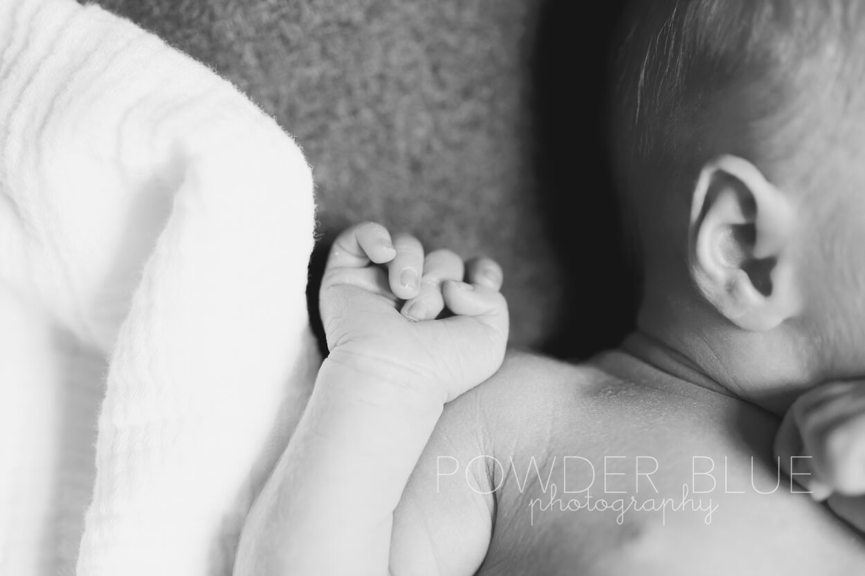 newborn girl's hand and ear tender moment pittsburgh
