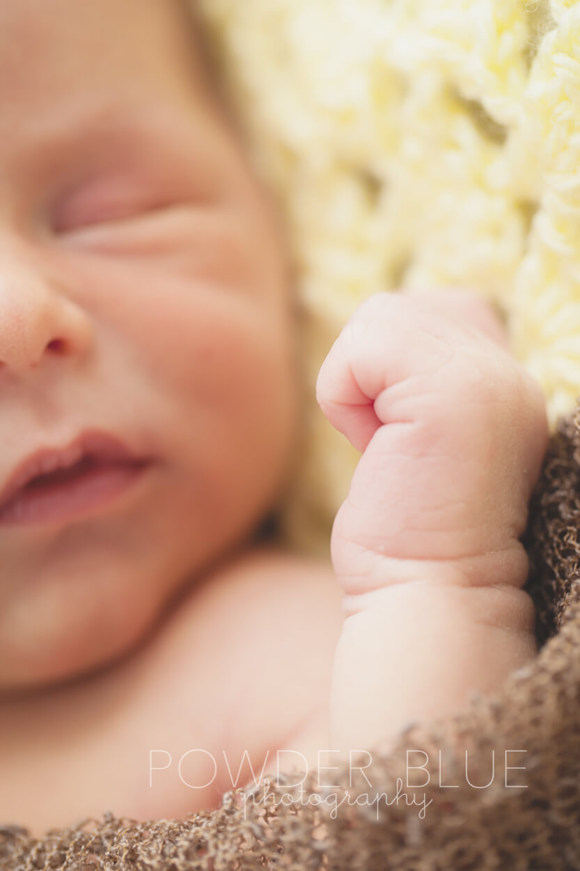 canonsburg pittsburgh family portrait lifestyle photographer newborn baby