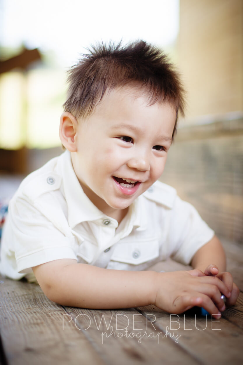 Two year old birthday photo session upper st clair pittsburgh family photographer