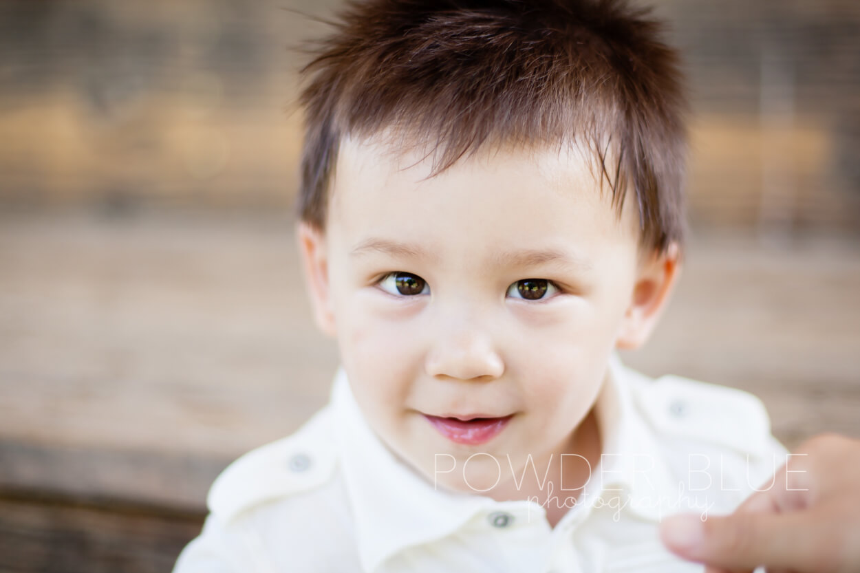 Two year old birthday photo session upper st clair pittsburgh family photographer