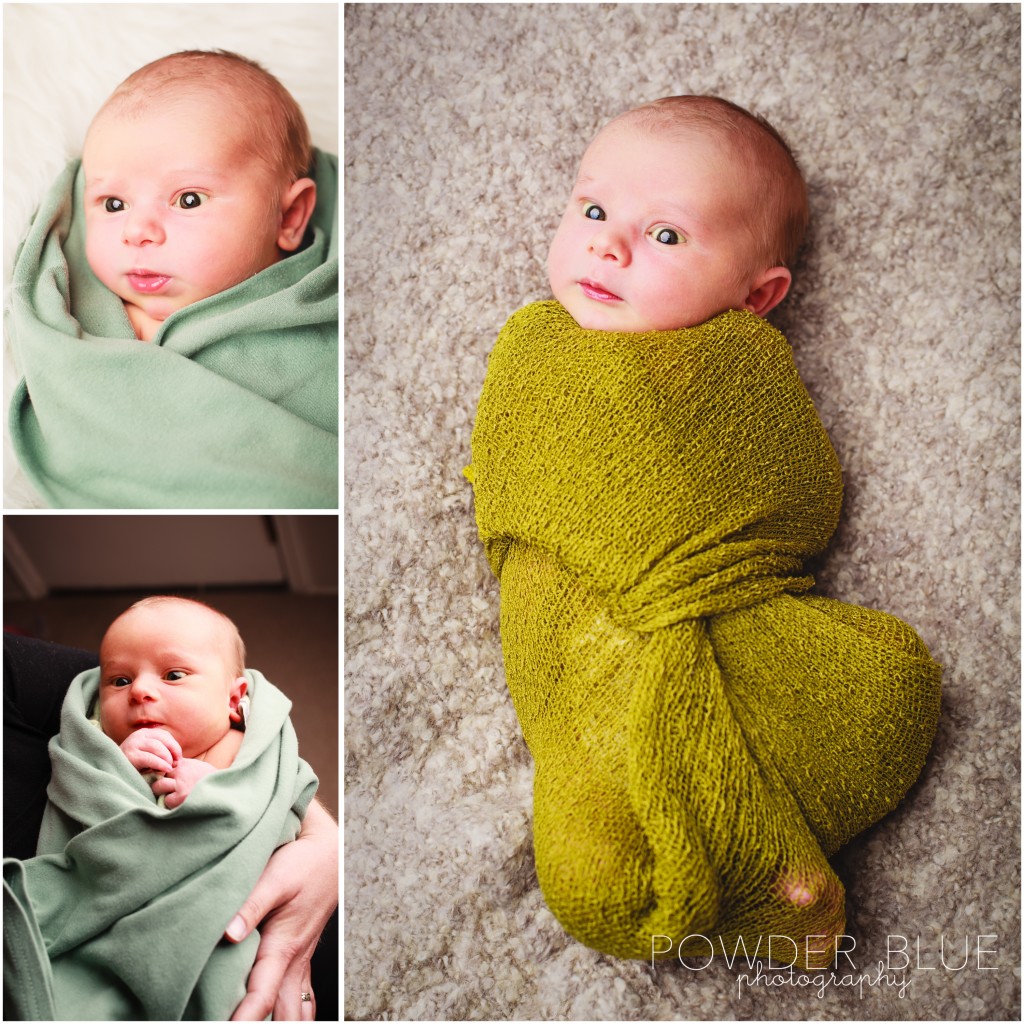 color newborn baby photos pittsburgh