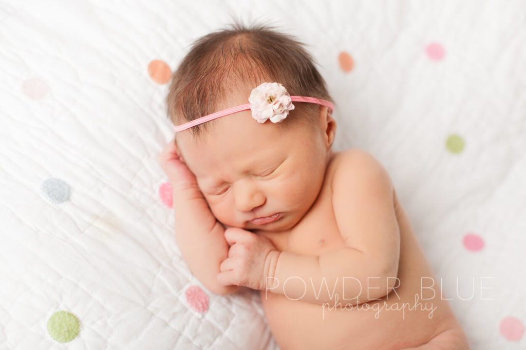 newborn baby girl with flower headband studio portrait © 2013 Powder Blue Photography. www.powderbluephoto.com