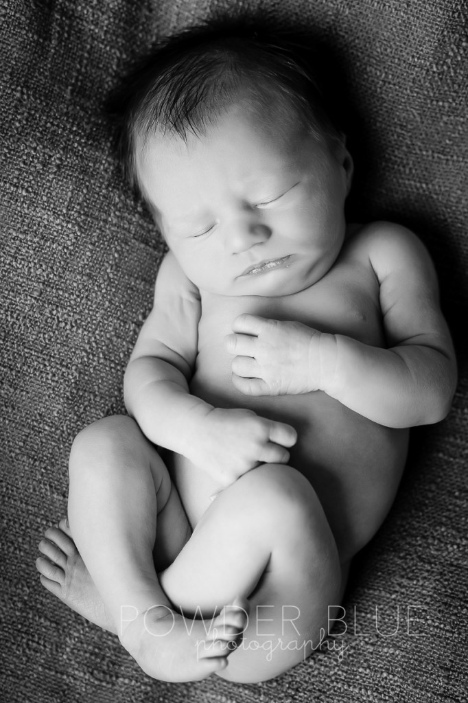 newborn baby portrait black and white studio naked © 2013 Powder Blue Photography. www.powderbluephoto.com