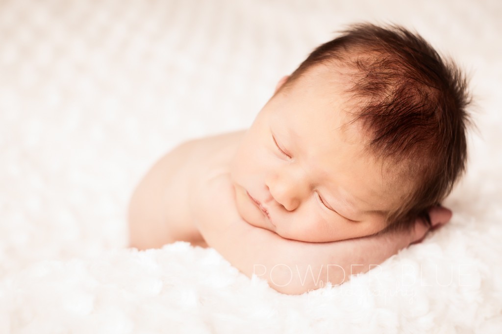 simple newborn baby girl studio portrait © 2013 Powder Blue Photography. www.powderbluephoto.com