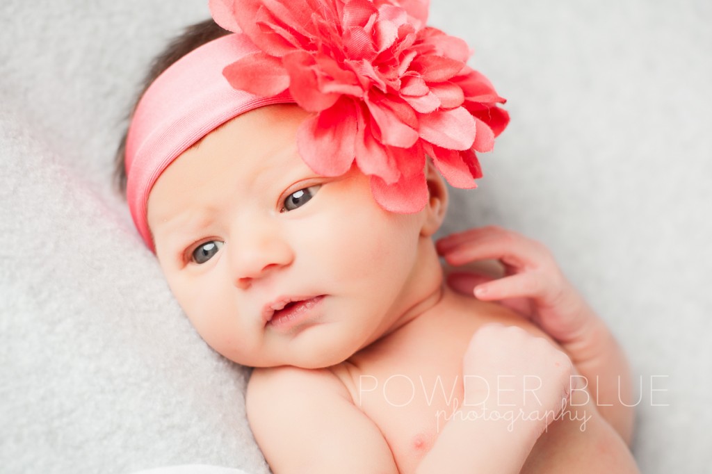 newborn baby girl studio portrait eyes open with pink flower headband © 2013 Powder Blue Photography. www.powderbluephoto.com
