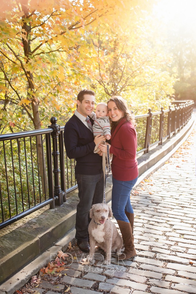 schenley park photographer portrait fall leaves pittsburgh portuguese water dog
