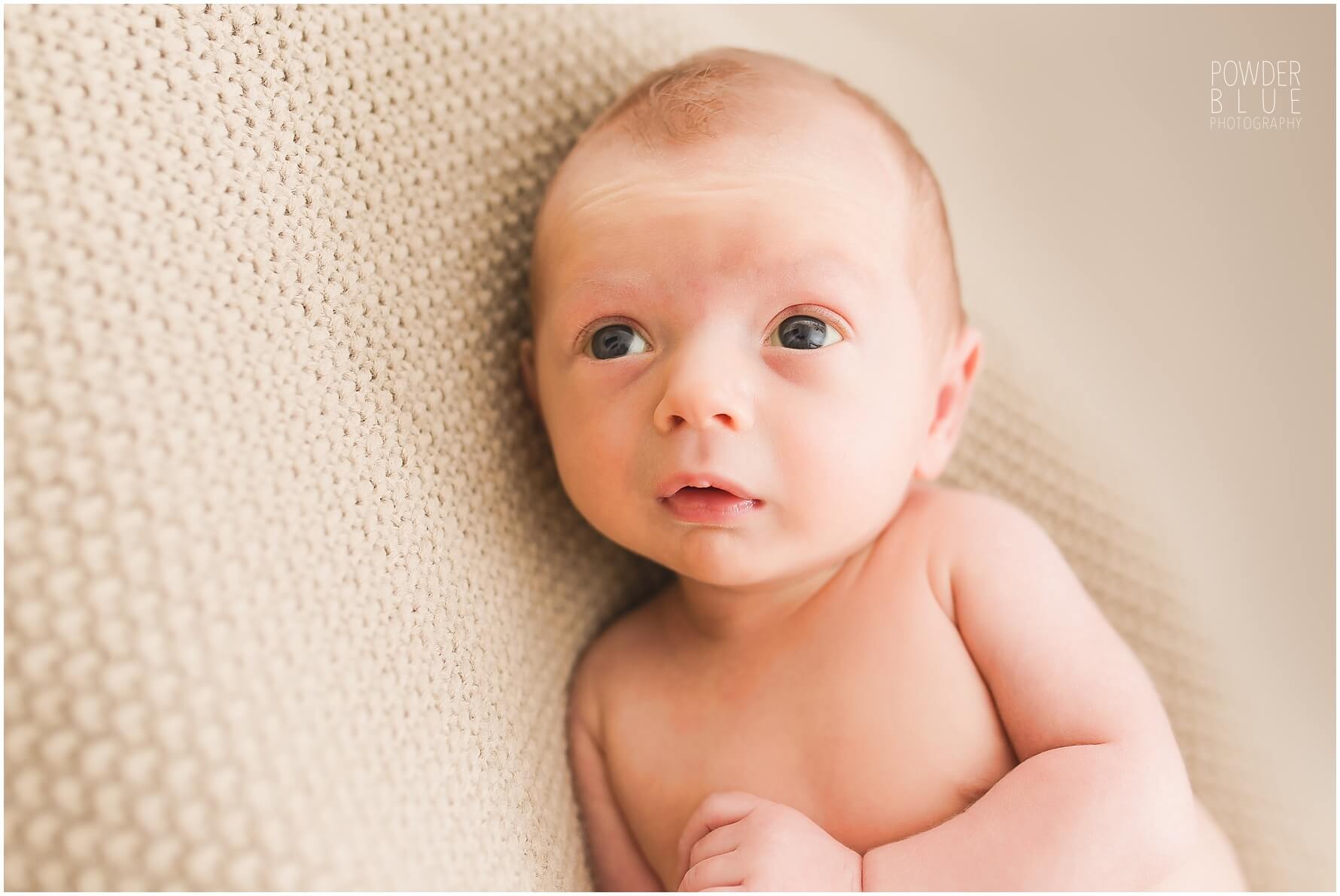 Read more about the article Newborn Baby Chance | Pittsburgh Newborn Photographer | Mt. Lebanon