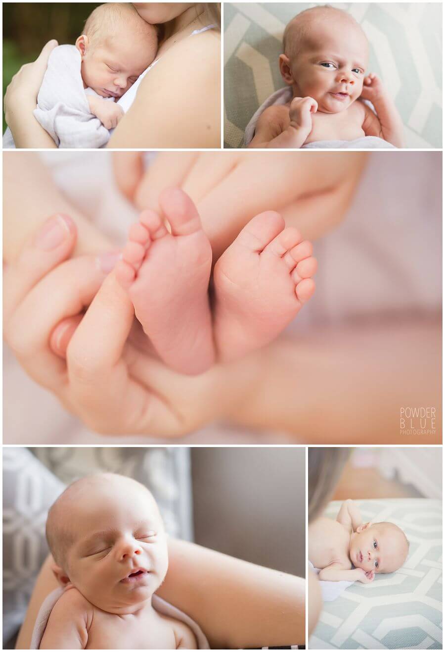 lifestyle newborn session in home pittsburgh
