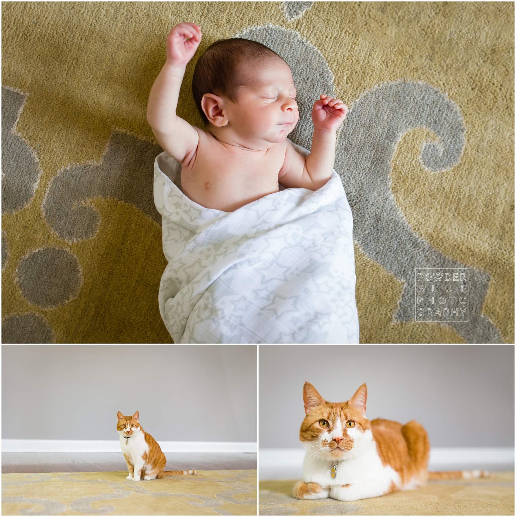 pittsburgh newborn photographer, in home lifestyle newborn session mt lebanon pittsburgh pa