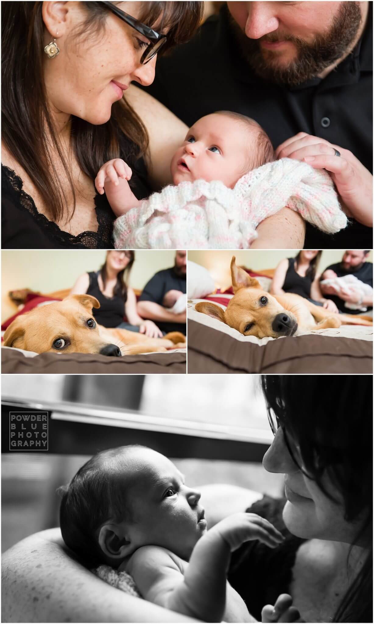 lifestyle newborn session in home colorful blankets pittsburgh