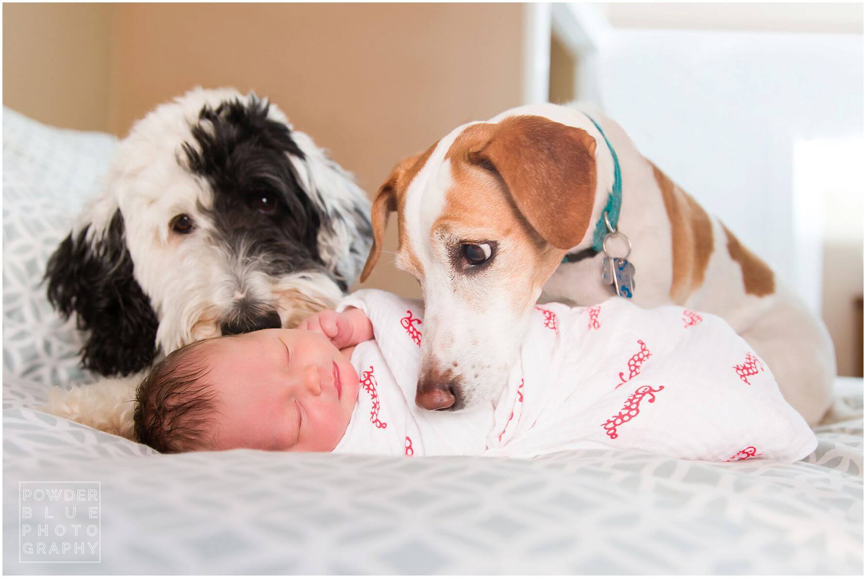 pittsburgh lifestyle newborn photographer in home newborn baby session pink baby girl