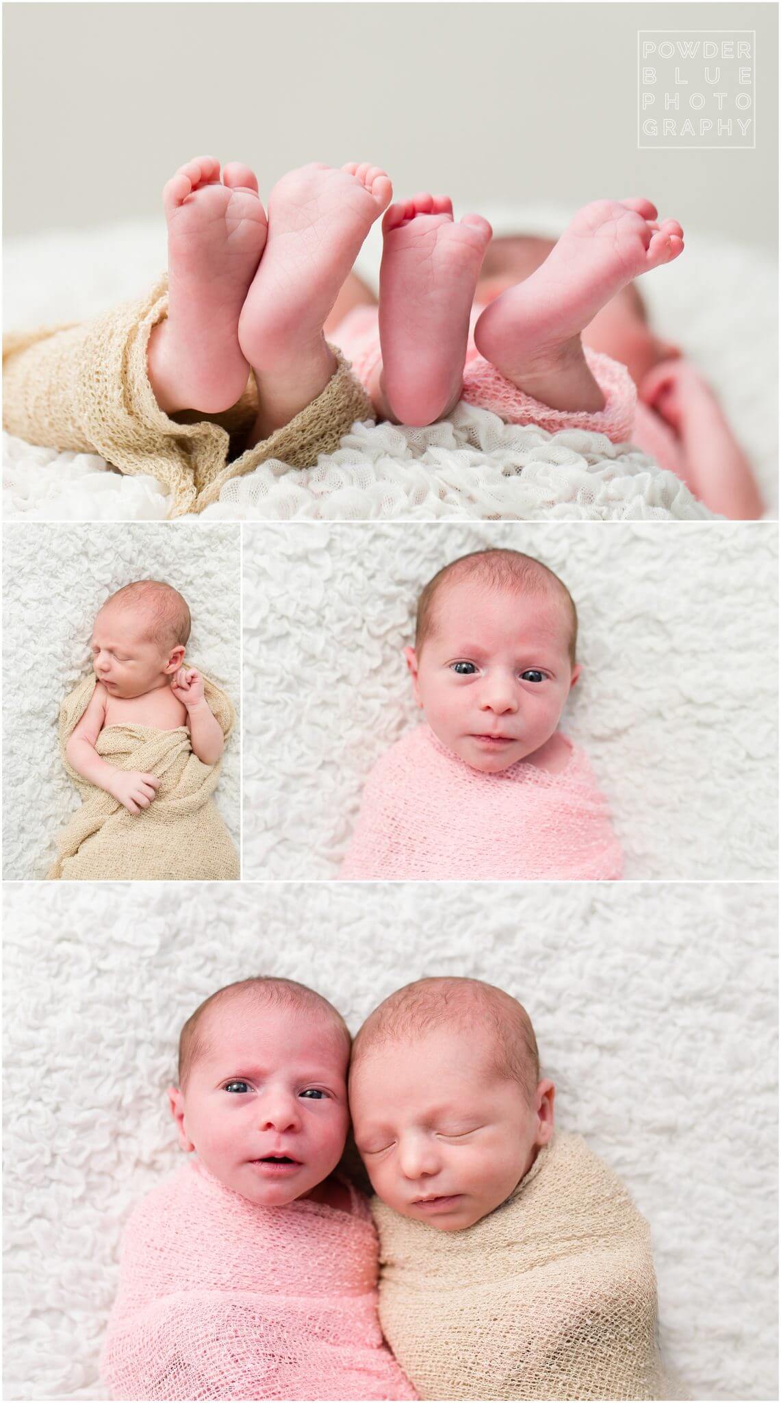pittsburgh newborn twins photographer. studio portrait of newborn twins in pittsburgh.