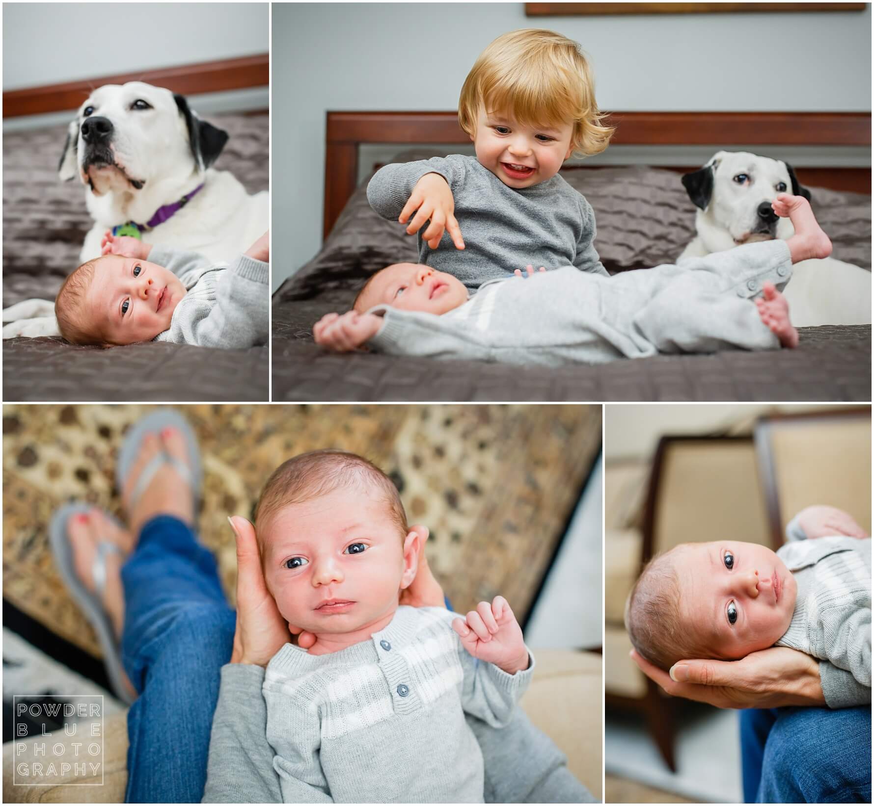 Pittsburgh newborn photographer. lifestyle images of newborn baby with brother and dog. pittsburgh lifestyle newborn photography session in home. 