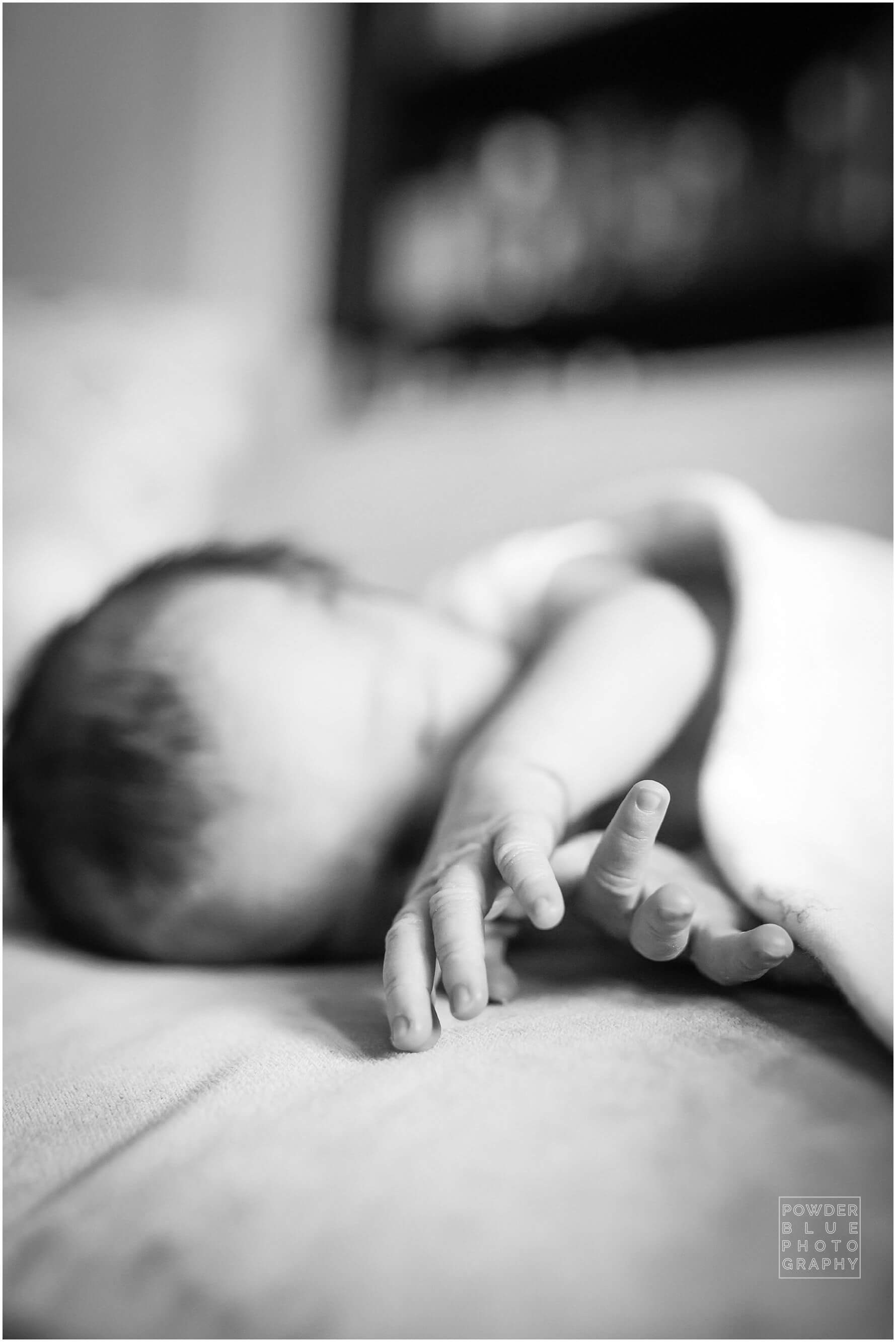 black and white image of pittsburgh newborn baby, photographed by Missy Timko.