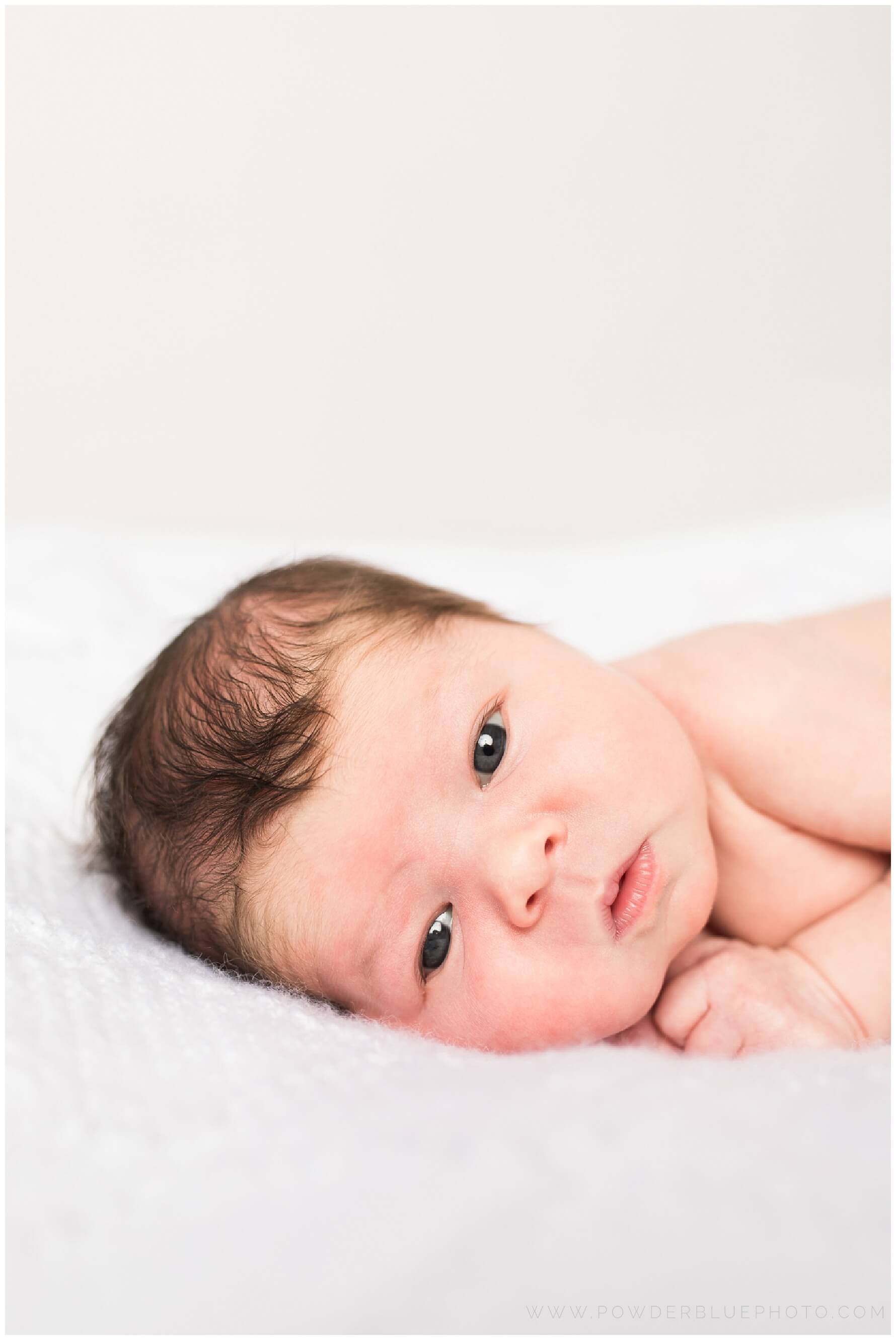 pittsburgh newborn photographer. simple, natural newborn portrait in studio on a white backdrop. baby girl. no props.
