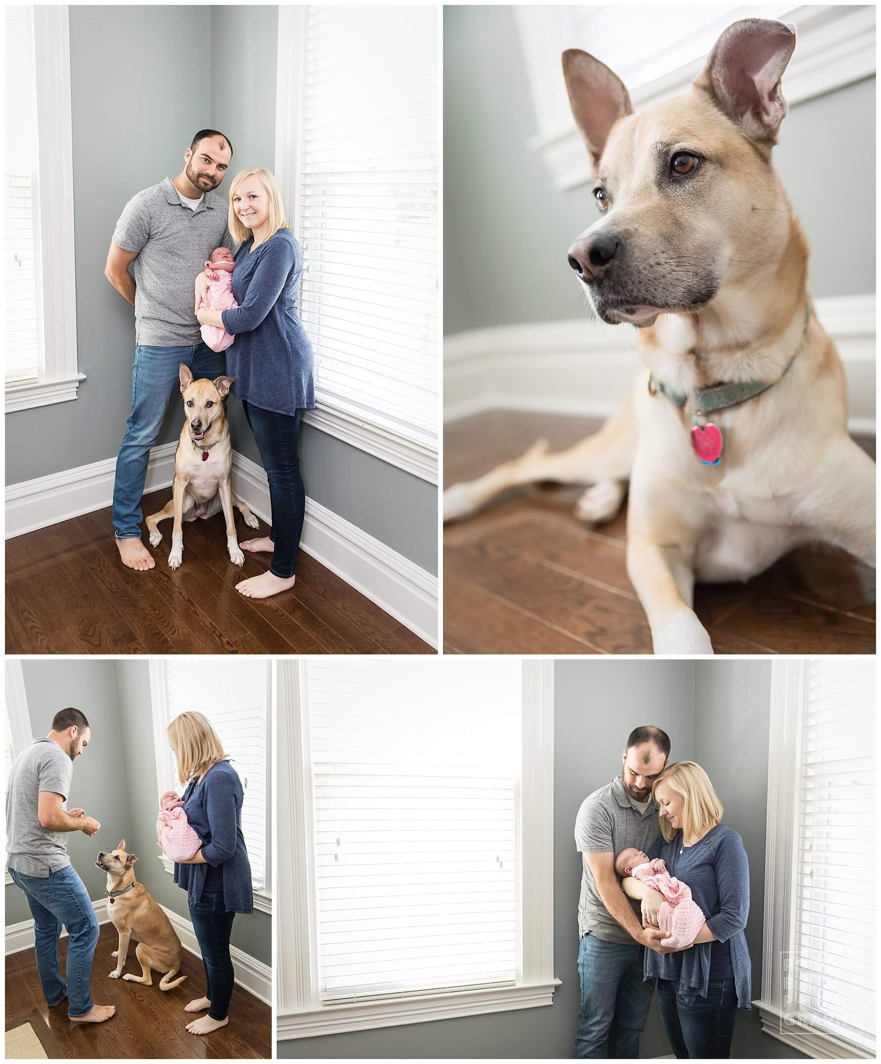 pittsburgh newborn photographer. simple, natural newborn portrait on location. baby girl. no prop. dog. dad. pink swaddling